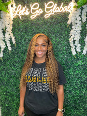 Highlighted Brown Deep Wave Wig 13X4 Frontal Wig