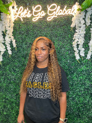 Highlighted Brown Deep Wave Wig 13X4 Frontal Wig