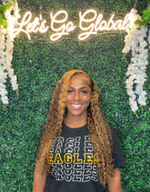 Highlighted Brown Deep Wave Wig 13X4 Frontal Wig